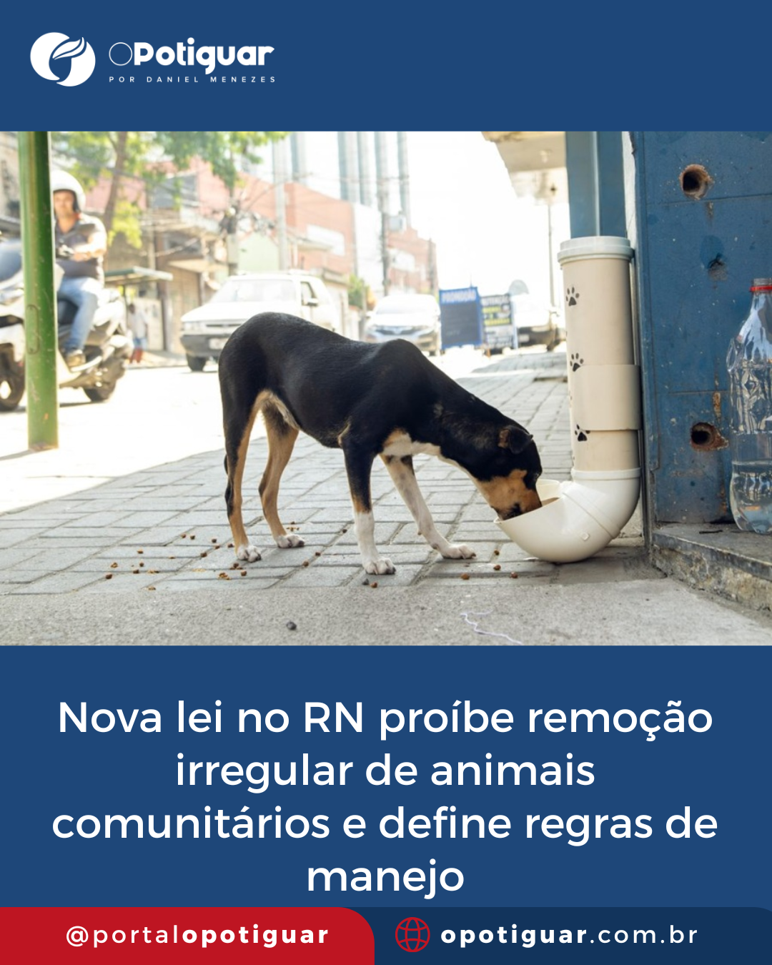 Foto do post