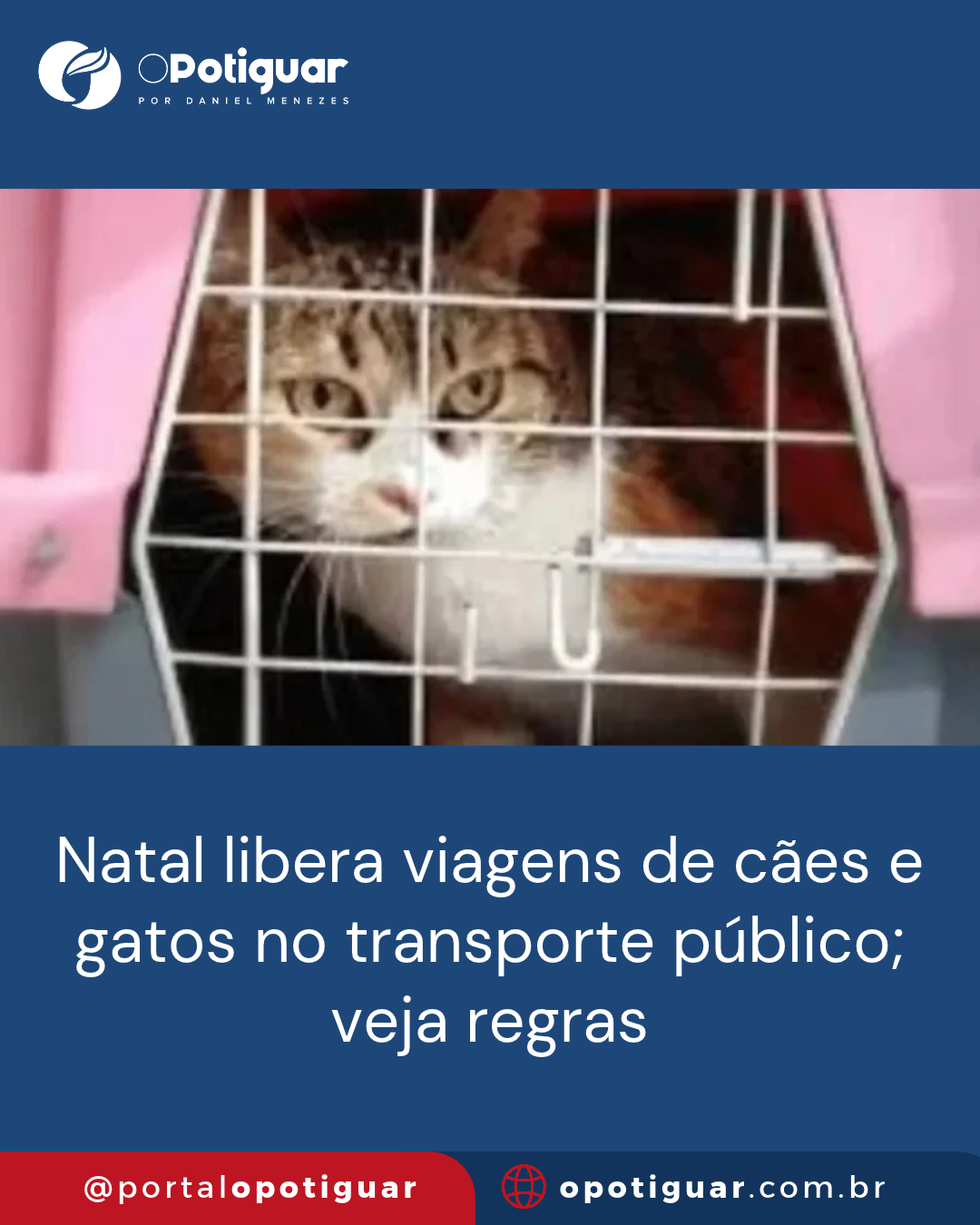 Foto do post